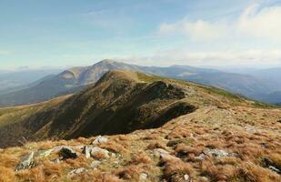 monter hoverla pendaison de pointe de le ukrainien Carpates contre le Contexte de le ciel photo