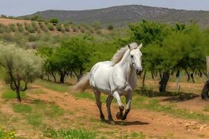 Jeune marron cheval galopant, sauter sur le champ sur une neutre Contexte. neural réseau ai généré photo