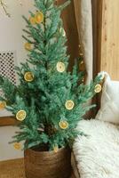 confortable intérieur décoré pour Noël dans scandinave style. vivre sapin des arbres décoré avec Naturel ornements fabriqué de séché des oranges photo