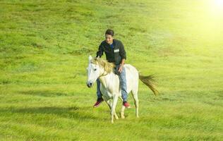 Jeune homme dans le champ équitation cheval, une homme équitation cheval dans le champ et montrer du doigt, équitation une magnifique cheval dans le champ photo