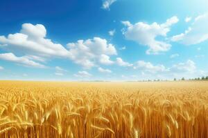 blé champ et bleu ciel avec des nuages. riches récolte concept, d'or blé champ paysage vue sur une ensoleillé jour, ai généré photo