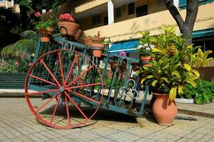 une Chariot avec fleurs photo