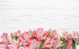 magnifique alstroemeria fleurs sur en bois Contexte photo