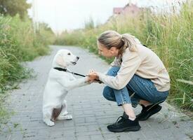 chiot Labrador retriever et Jeune fille photo