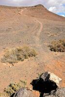 une saleté route dans le milieu de une désert photo
