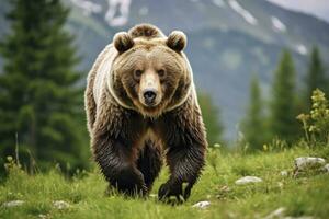 marron ours en mouvement sur le vert Prairie dans printemps la nature. ai généré photo