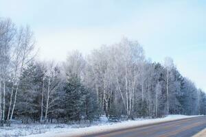 route dans la forêt d'hiver. forêt d'hiver gelée avec des arbres couverts de neige. photo