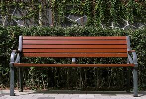 image de une isolé parc banc photo