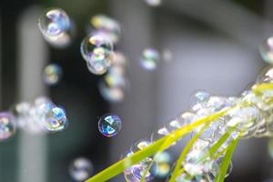 bulles d'eau flottant et tombant sur des feuilles vertes photo