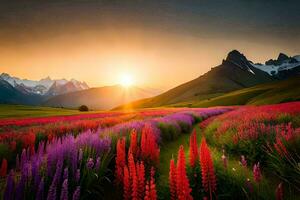 le Soleil monte plus de une champ de violet fleurs. généré par ai photo