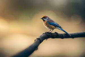 une petit oiseau est assis sur une branche dans le Soleil. généré par ai photo