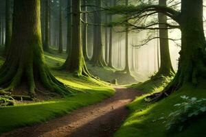 une chemin par une forêt avec des arbres et mousse. généré par ai photo