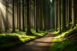 une chemin par une forêt avec rayons de soleil brillant par le des arbres. généré par ai photo