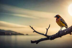 une coloré oiseau est assis sur une branche dans de face de le Soleil. généré par ai photo