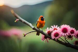 photo fond d'écran le ciel, fleurs, oiseau, nature, oiseau, oiseau, oiseau, oiseau,. généré par ai