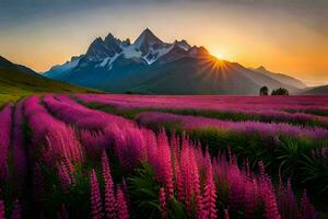 le Soleil ensembles plus de une champ de violet fleurs. généré par ai photo