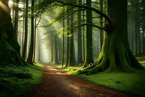 une chemin par une forêt avec des arbres et rayons de soleil. généré par ai photo