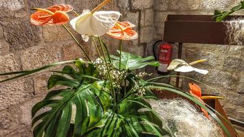 festival des fleurs à girona temps de flors, espagne. 2018 photo