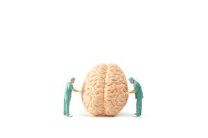 miniature médecin vérification et une analyse cerveau modèle sur blanc arrière-plan, science et médicament concept photo