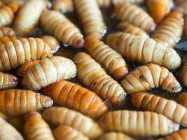 proche - en haut de frit vers dans le marché photo