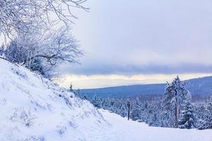 Il a neigé dans le paysage de sapins glacés Brocken Mountain Harz Allemagne photo