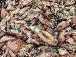 le calamar pris par le les pêcheurs sont vendu directement à le poisson enchères avant étant vendu à le la plus proche marché. le calamar encore Regardez Frais et sont groupé et vendu à pas cher des prix avec haute nutrition photo