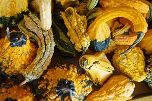 beaucoup de citrouilles dans un magasin de légumes photo