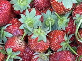 gros plan des fraises en échoppe de marché