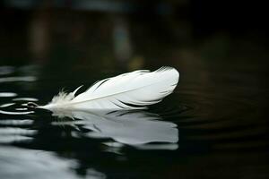 blanc plume flottant Lac l'eau. produire ai photo