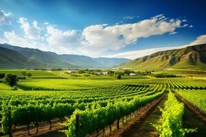 une pittoresque vignoble dans une magnifique vert vallée avec montagnes dans le Contexte. croissance en utilisant durable agriculture et irrigation méthodes. ai génératif photo