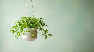 pendaison panier de mis en pot plante dans minimal vivant chambre. ai génératif. photo