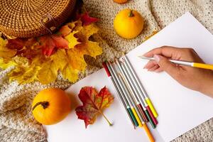 une femme dessine dans un album avec aquarelle des crayons photo
