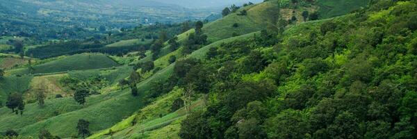 photos de beaux paysages naturels, d'arbres et de montagnes.