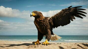 une magnifique été journée avec bleu ciel et une seul de Steller mer Aigle plus de le plage ai génératif photo