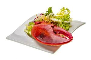 cuisse de homard avec salade photo