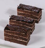 délicieux gâteau au chocolat photo
