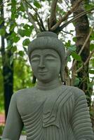 statue de Bouddha dans le jardin photo