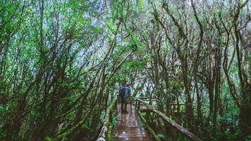 asiatique homme Voyage la nature. prendre une image la nature étude dans le jungle à chiangmai dans Thaïlande. photo