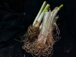 poireaux dont feuilles avoir été Couper en quittant le tiges et les racines avec une noir Contexte photo