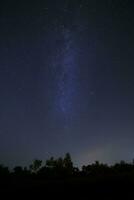 laiteux façon galaxie dans nuit ciel au dessus forêt photo