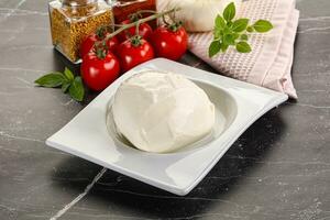 italien fromage mozzarella buffle Balle photo