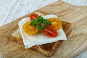 sandwich au fromage et à la tomate photo