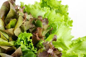 salade feuilles sur une blanc photo