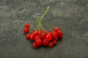 baies de viorne rouges savoureuses et juteuses photo