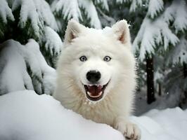 chien pendant une hiver marcher ai génératif photo