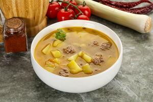 soupe avec du boeuf boulette de viande et des légumes photo