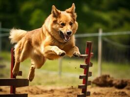 fougueux chien courses par un agilité cours ai génératif photo