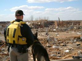 qualifié chercher et porter secours chien travail avec diligence dans une catastrophe zone ai génératif photo