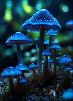 magique fantaisie révéler le caché monde de mystérieux néon lumière champignons par macro la photographie. photo