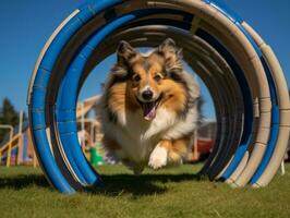 fougueux chien courses par un agilité cours ai génératif photo